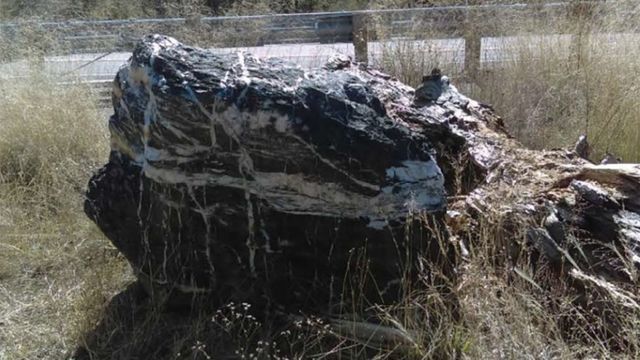 Tảng đá 'phù thủy' nặng 1 tấn trong vườn quốc gia biến mất bí ẩn