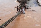 Cầu sập, người dân Bình Định vượt dòng nước lũ bằng thân cau