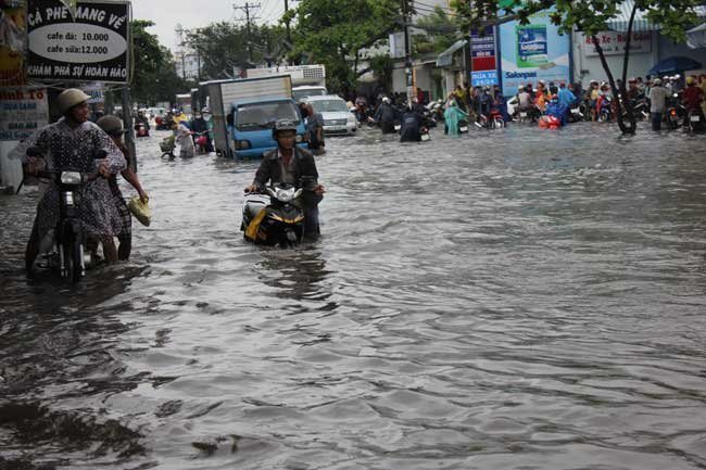 Dutch experts propose building dykes to control flooding in HCM City