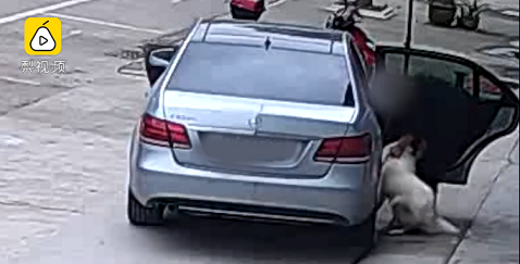 Doanh nhân lái xe sang Mercedes-Benz E-Class đi trộm chó