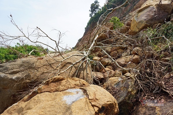 Bán đảo Sơn Trà sạt lở nham nhở, tiềm ẩn nguy hiểm cho du khách