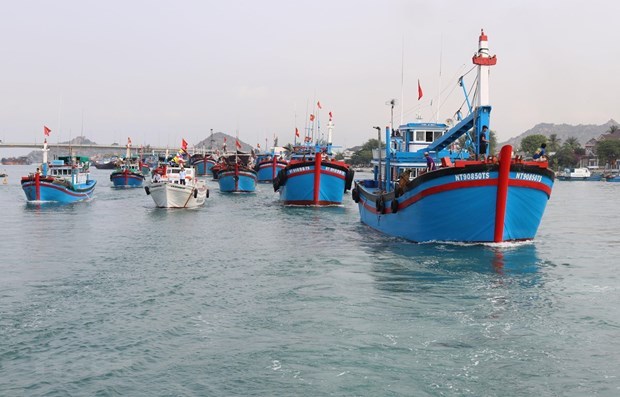 EC’s inspectors to check Vietnam’s IUU fishing combat