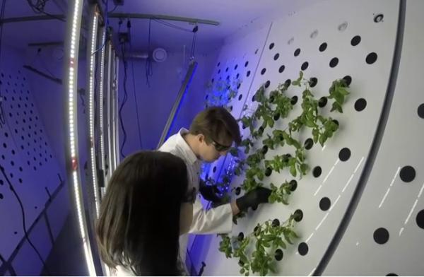 Séc thử nghiệm trồng rau trong môi trường khắc nghiệt giống Sao Hỏa