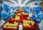 Vietnam’s export tunover surges 7.4 percent in 10 months