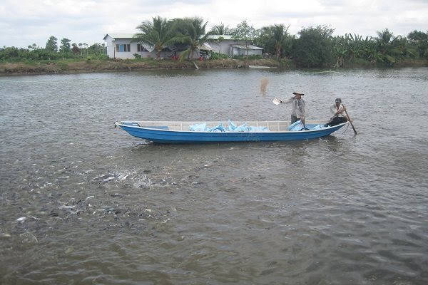 Vietnamese Gov’t seeks sustainable growth in seafood sector