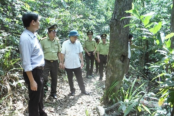 Kẻ lạ lao vào trụ sở làm việc, hành hung cán bộ ở Quảng Trị