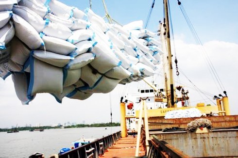 Vietnam's export price of rice suffers dramatic decrease
