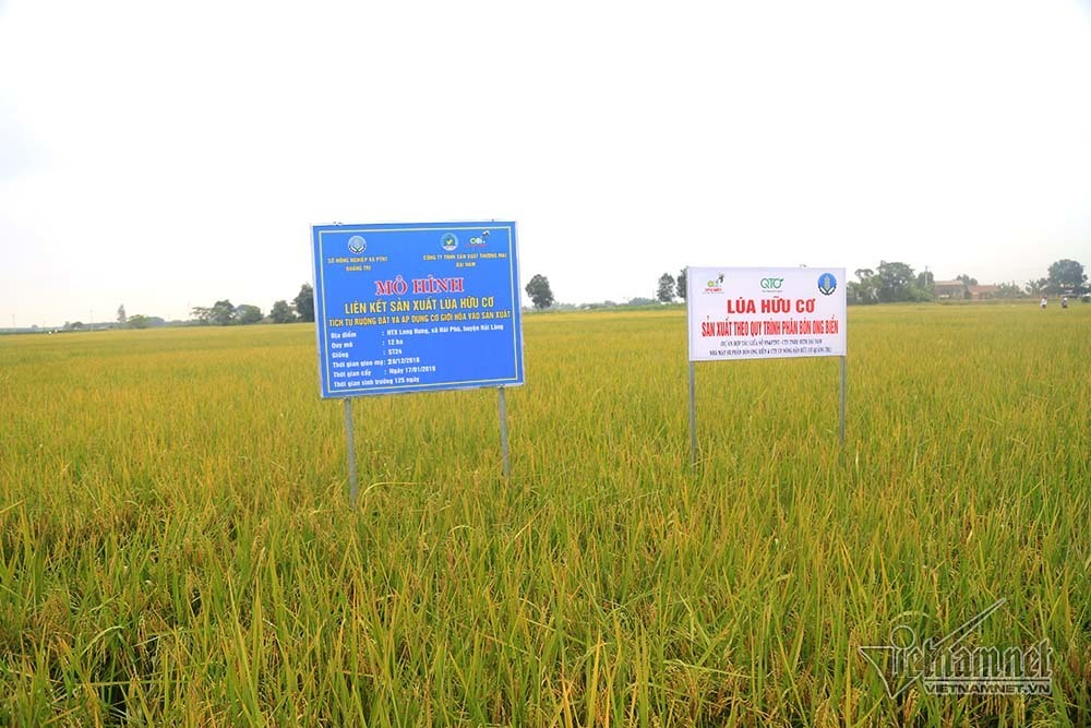 10 năm NTM: Chính sách về khoa học, công nghệ có nhiều đột phá