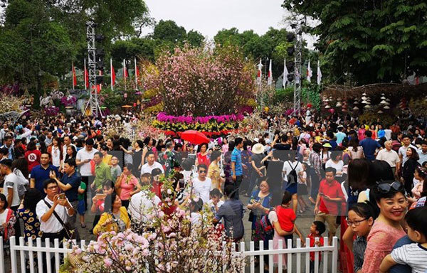 Japanese cherry blossom festival to be held in Hanoi