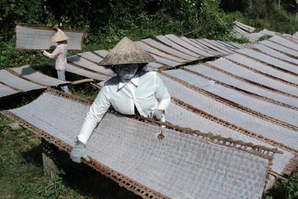 Trà Vinh đẩy mạnh vận động xã hội hóa trong đào tạo nghề