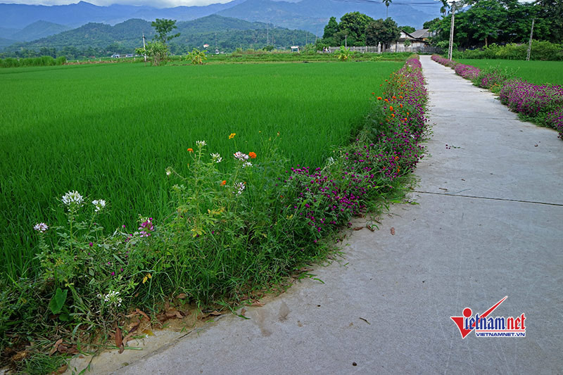 Xây dựng nông thôn mới: Bài học từ bộ tiêu chí của huyện Nam Đàn