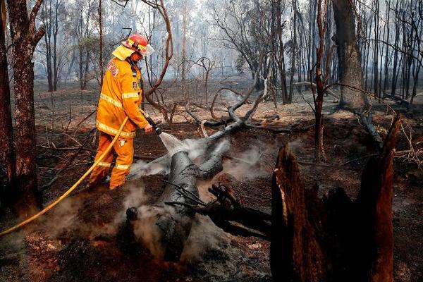 Cháy rừng kinh hoàng ở Australia, khói nhìn thấy từ New Zealand