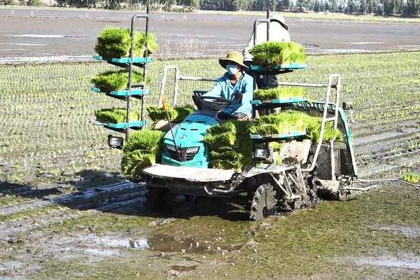 Đẩy mạnh hỗ trợ ứng dụng công nghệ cao trong nông nghiệp, nông thôn