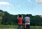 Old man spends whole life protecting storks