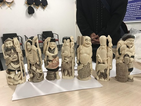 Rhino horns and ivory seized upon arrival at Vietnamese airport
