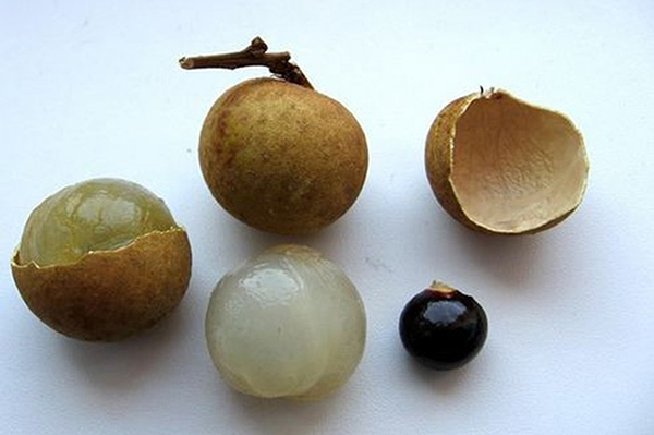 Nghe VietNamNet: Bé trai 2 tuổi tử vong do hóc hạt nhãn