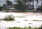 Typhoon Nakri leaves two people dead with another missing in central Vietnam