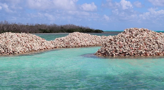 Hòn đảo được tạo nên từ hàng triệu vỏ ốc xà cừ