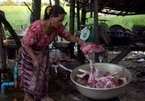 Nỗi ám ảnh nghề buôn thịt chó ở Campuchia
