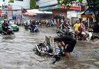 HCM City considers flood-prevention project with Dutch technology
