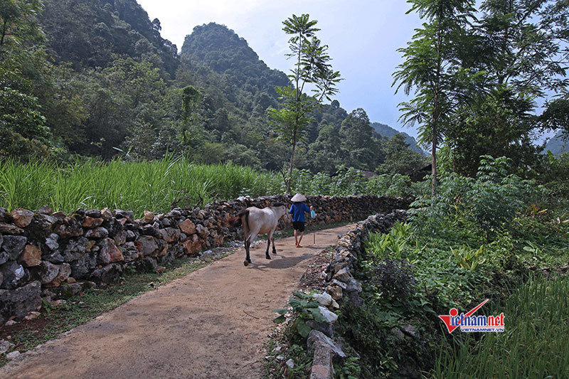 Đắk Lắk quan tâm hỗ trợ buôn làng khó khăn xây dựng NTM