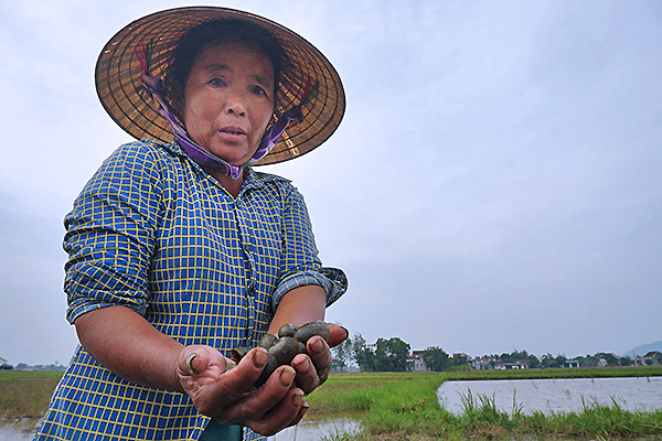 Con vật gây khiếp sợ 1 thời, nay bị săn lùng bán kiếm tiền triệu