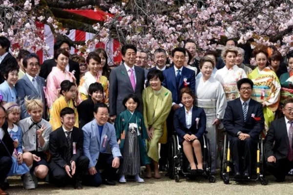 Bị chỉ trích, Thủ tướng Nhật huỷ tiệc ngắm hoa anh đào