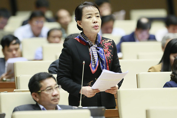 ĐB lo ngại nguy cơ xâm nhập của người nước ngoài núp danh nghĩa du lịch