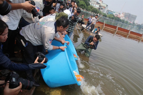 Hanoi: Pool be treated with Japanese nano-bioreactor technology