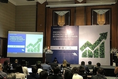 Promoting low-carbon circular economy in Vietnam with a Swedish perspective