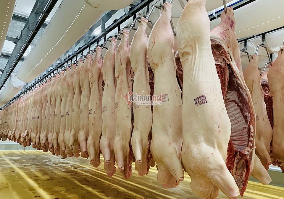 Nhập nửa triệu con lợn Thái Lan, mùa Tết giá thịt vẫn ồ ạt tăng