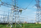 Vietnam supports private investment in electricity transmission lines