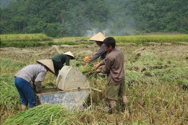 Xây dựng nông thôn mới giai đoạn 2021–2030: Thị trường lao động nông thôn bị già hóa