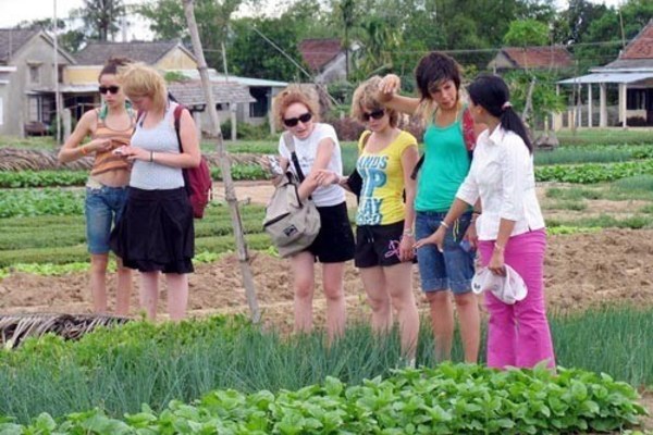 Xây dựng NTM, phát huy lợi thế du lịch nông nghiệp nông thôn