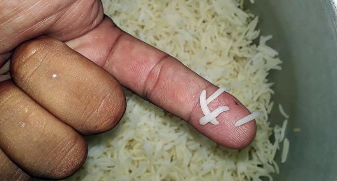 Sự thật về loại gạo không nở, đốt có mùi khét nghi gạo giả