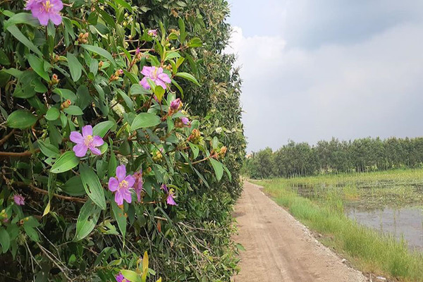 Trót phản bội 'chồng điểm 10' vì ngã lòng trước người đàn ông trẻ