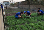 Vietnamese peacekeepers make barren Bentiu greener