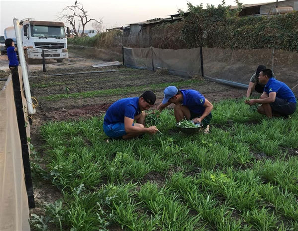 Vietnamese peacekeepers make barren Bentiu greener