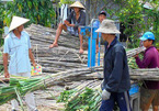 Vietnam's sugar industry in serious decline