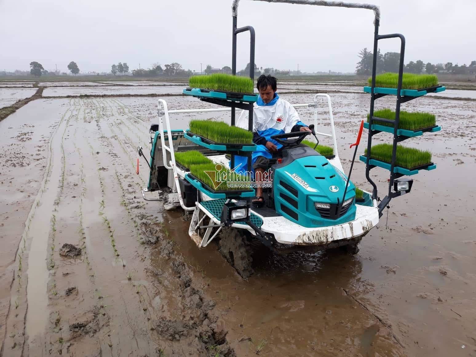 Hội nông dân Đà Nẵng hăng hái tham gia xây dựng NTM