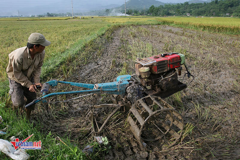 Xây dựng NTM: Châu Thành tập trung vào các sản phẩm tiềm năng, thế mạnh