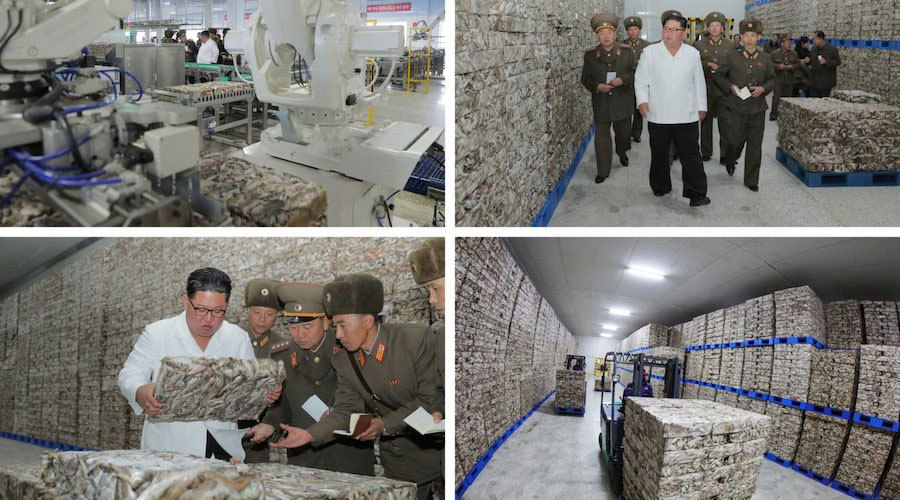 Kim Jong Un thị sát nhà máy cá, gay gắt phê bình cấp dưới