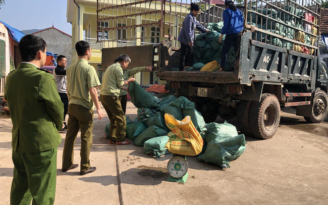 Ồ ạt đưa lợn vượt biên, lệnh gấp ngăn chặn, xử nghiêm