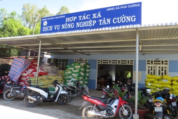 Huyện Lâm Bình: Lực đẩy nông thôn mới từ mô hình hợp tác xã