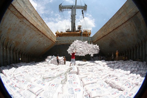 Philippines, Ivory Coast emerge as Vietnam’s largest rice export markets