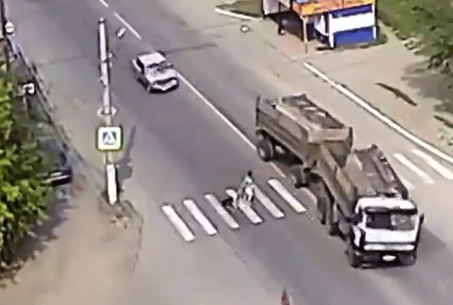 Hi hữu: Chó cứu chủ khỏi bị xe tải đâm