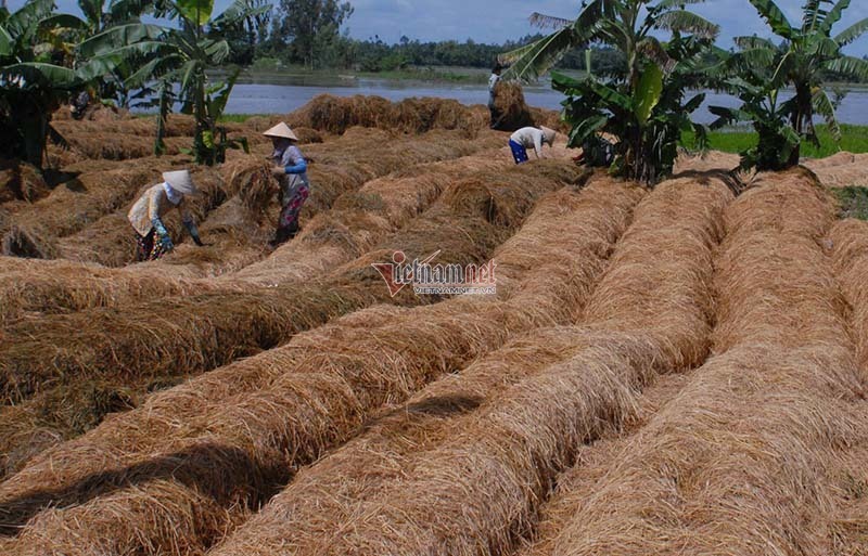 An Biên phấn đấu thành huyện Nông thôn mới kiểu mẫu
