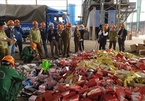 Hanoi destroys 63 tonnes of illegal goods