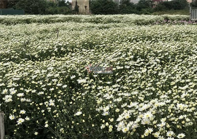 Hà Nội huy động gần 76.500 tỷ đồng làm Nông thôn mới