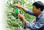 Time is ripe for Vietnam's agriculture digitalization